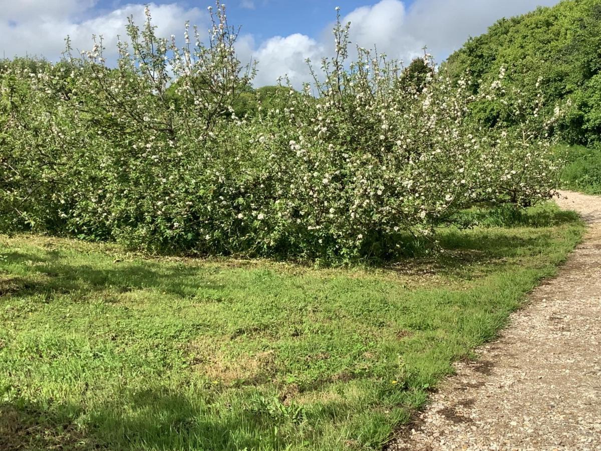 Polgoon Vineyard Annex Penzance Daire Dış mekan fotoğraf