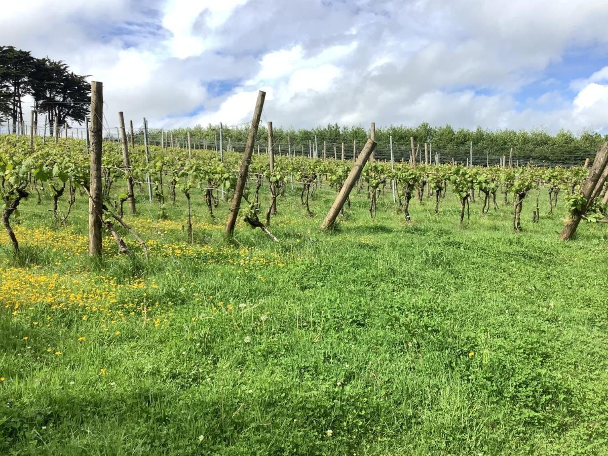 Polgoon Vineyard Annex Penzance Daire Dış mekan fotoğraf